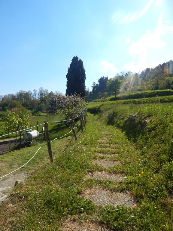 Tavarone 凉廊旅馆酒店 外观 照片